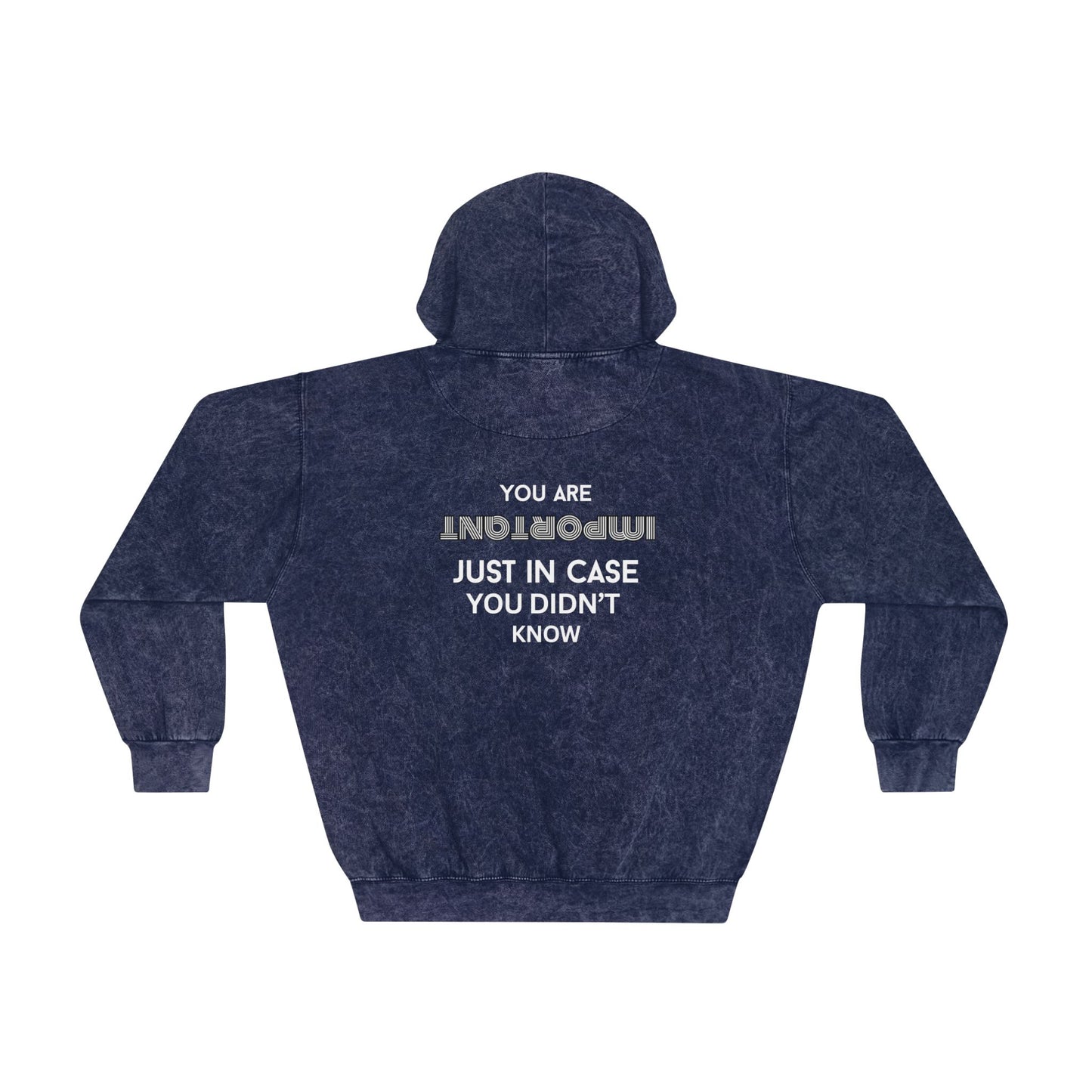 You Are Important- Mineral Washed Hoodie