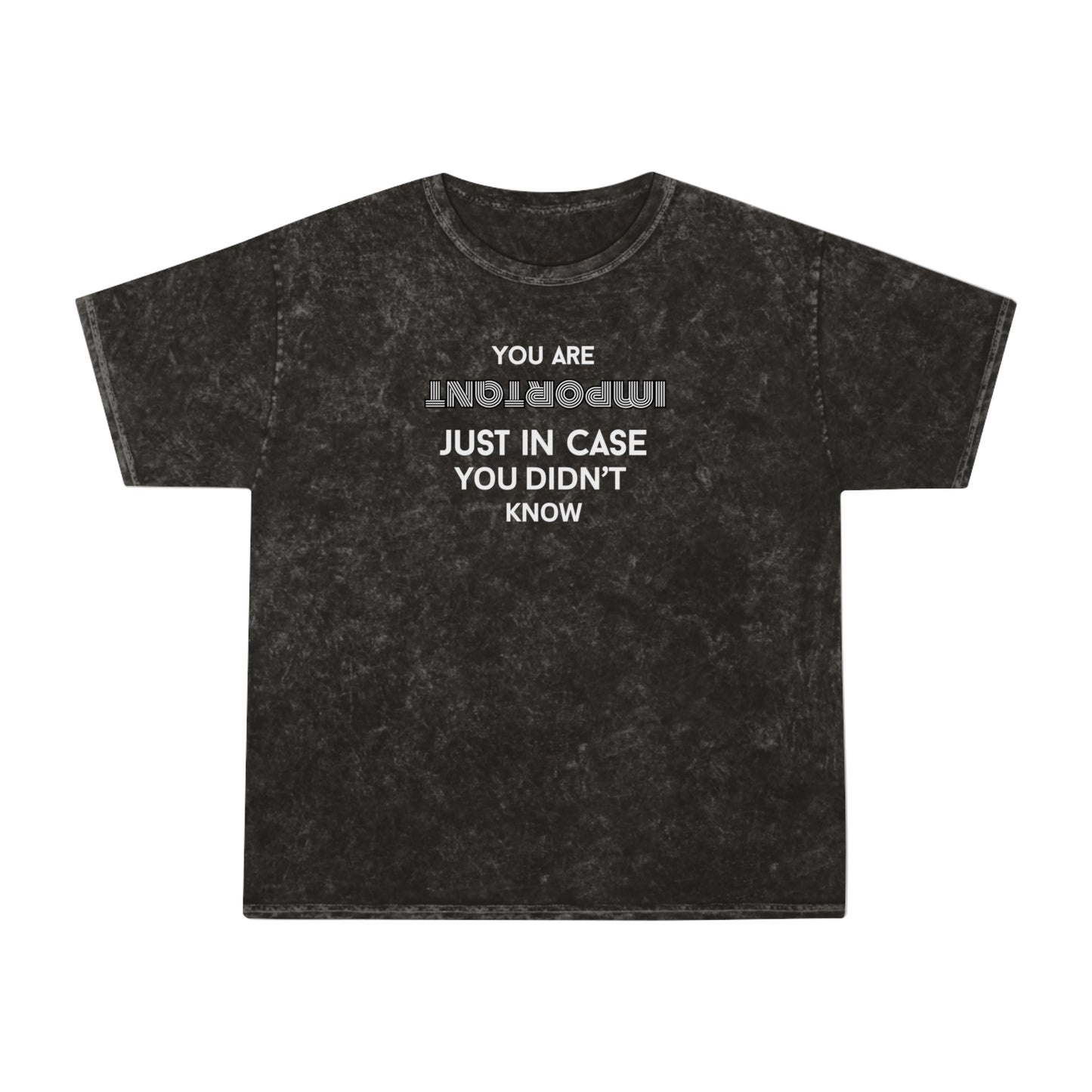 You Are Important- Mineral Wash T-Shirt