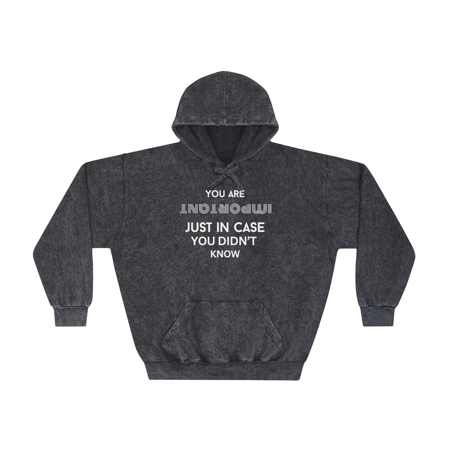 You Are Important- Mineral Washed Hoodie