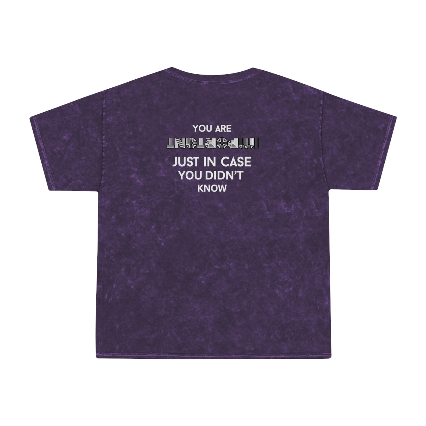 You Are Important- Mineral Wash T-Shirt