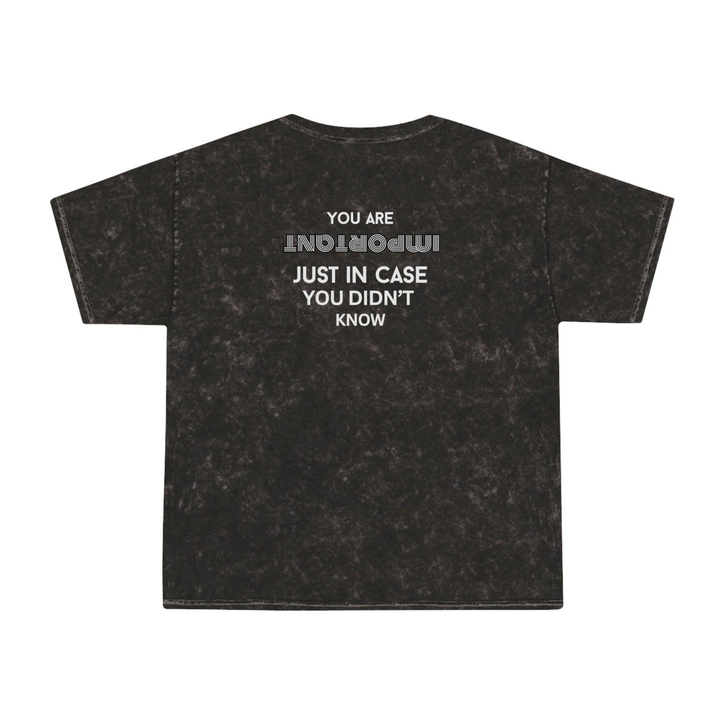 You Are Important- Mineral Wash T-Shirt
