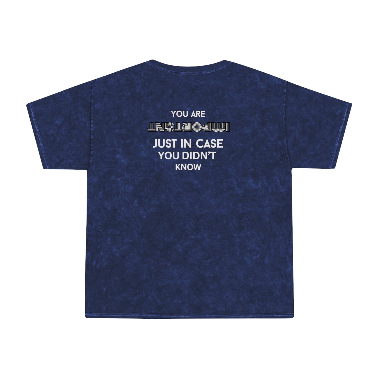You Are Important- Mineral Wash T-Shirt