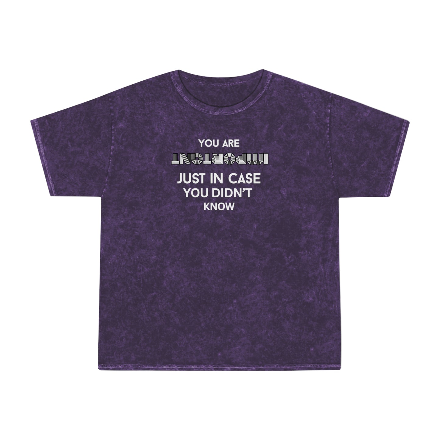 You Are Important- Mineral Wash T-Shirt