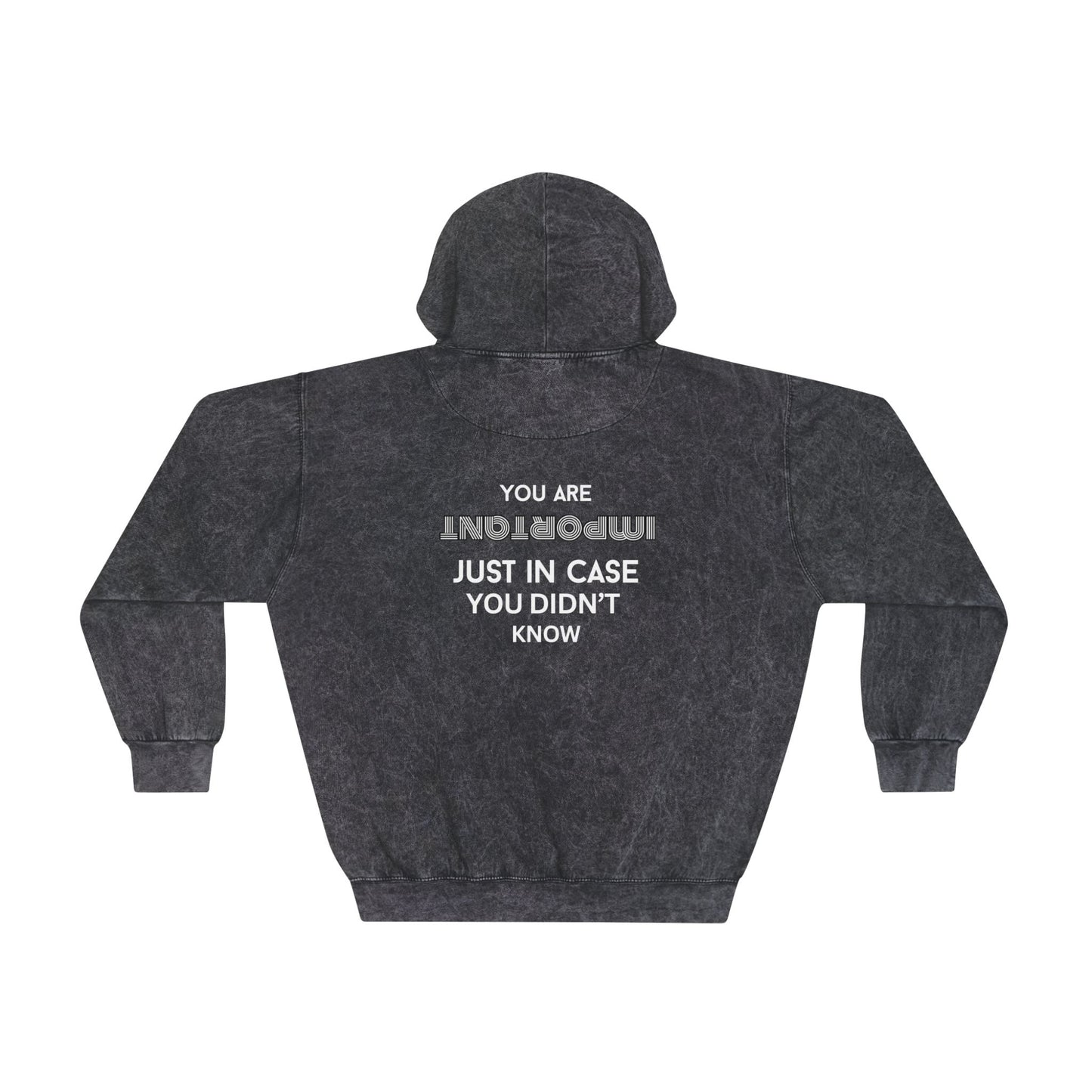 You Are Important- Mineral Washed Hoodie