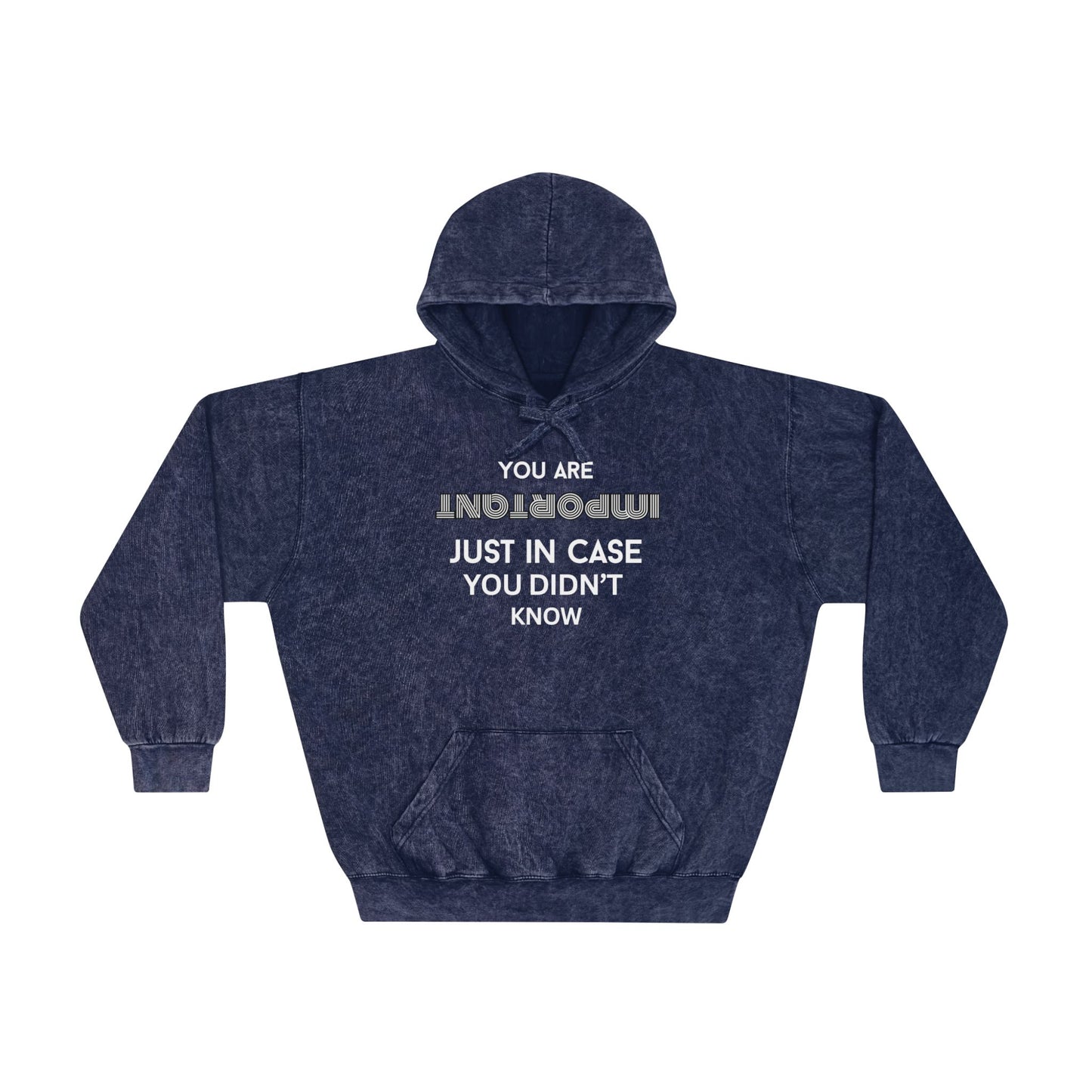 You Are Important- Mineral Washed Hoodie