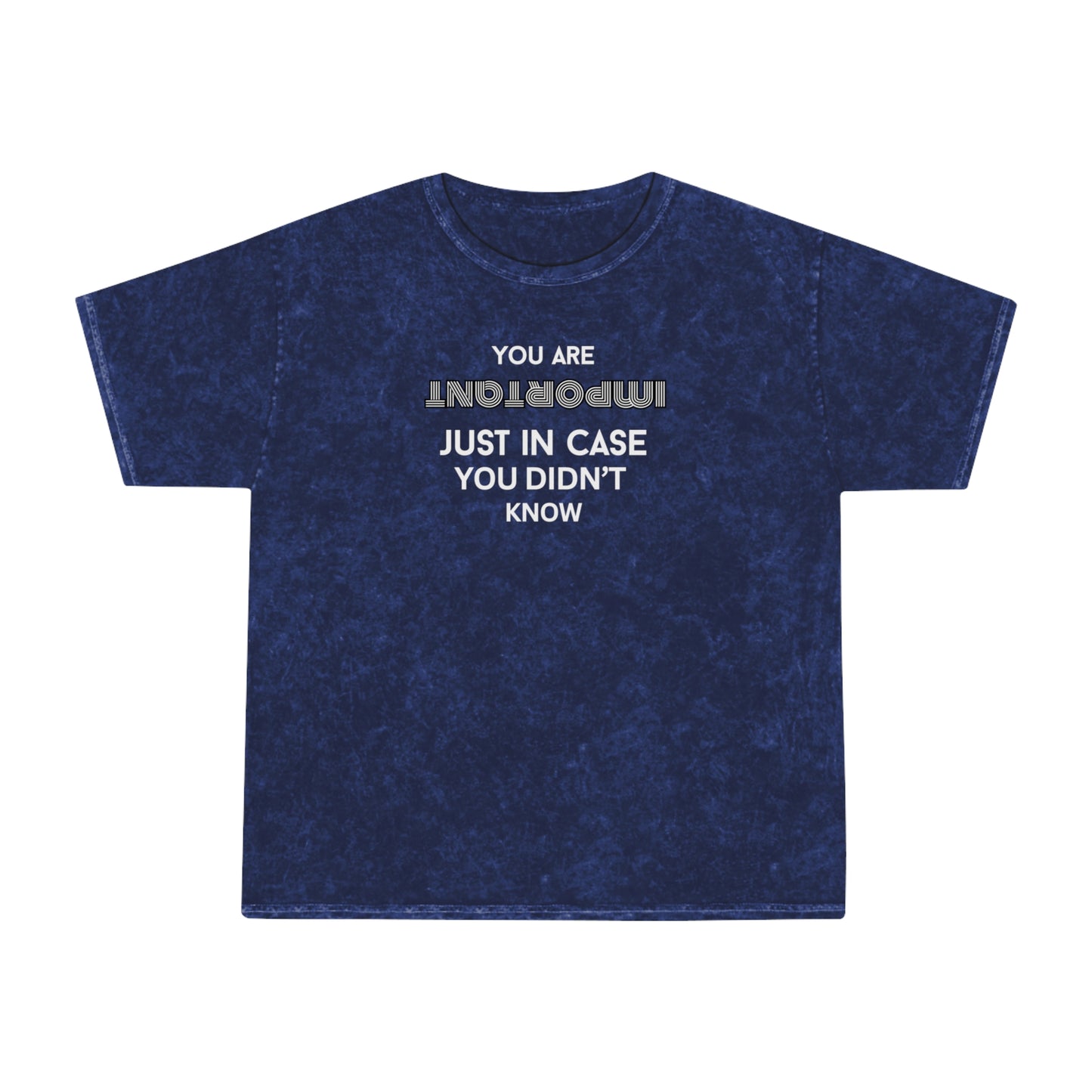 You Are Important- Mineral Wash T-Shirt